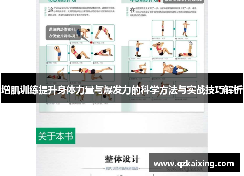 增肌训练提升身体力量与爆发力的科学方法与实战技巧解析
