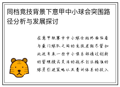 同档竞技背景下意甲中小球会突围路径分析与发展探讨