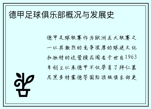 德甲足球俱乐部概况与发展史
